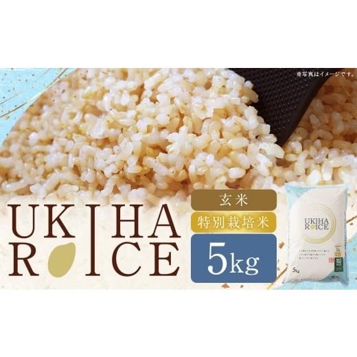 ふるさと納税 玄米 福岡県 うきは市 UKIHA RICE 玄米 5kg (特別栽培米) 2025年11月上旬から2026年3月下旬発送予定 ヒノヒカリ ひのひかり 玄米 げんまい 米 …