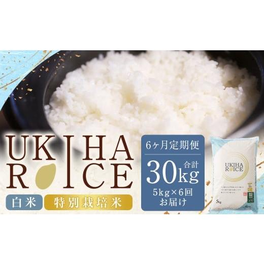 ふるさと納税 米 ヒノヒカリ 福岡県 うきは市 6ヶ月定期便 みずほファーム UKIHA RICE 白米 5kgx6回 (特別栽培米) 計30kg 2025年12月上旬〜2026年7月下旬発…