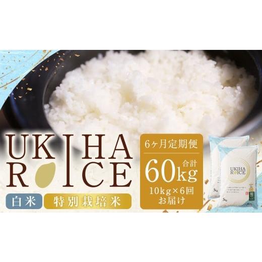 ふるさと納税 米 ヒノヒカリ 福岡県 うきは市 6ヶ月定期便 みずほファーム UKIHA RICE 白米10kgx6回 (特別栽培米) 計60kg 2025年12月上旬〜2026年7月下旬発…