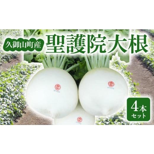 ふるさと納税 野菜類 大根 京都府 - 期間限定 京都 聖護院大根 4本 セット 淀大根 大根 だいこん 冬野菜 おでん 鍋 煮物 京都府 久御山町 野菜 炊いたん おか…