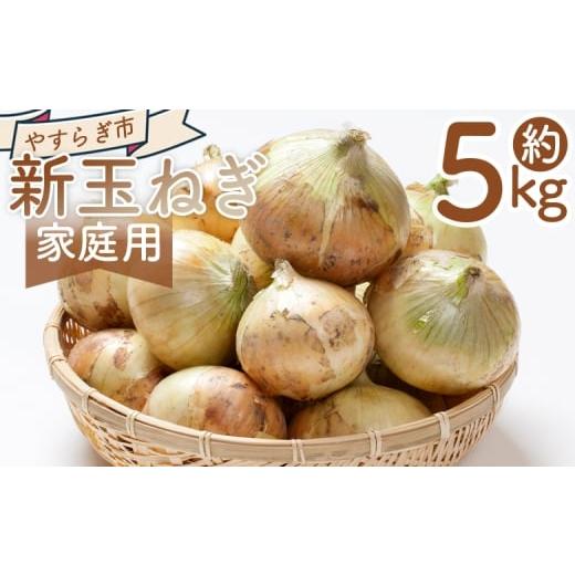 ふるさと納税 野菜類 玉ねぎ 高知県 香南市 2026年3月以降順次発送 新玉ねぎ 5kg 家庭用 yr-0079