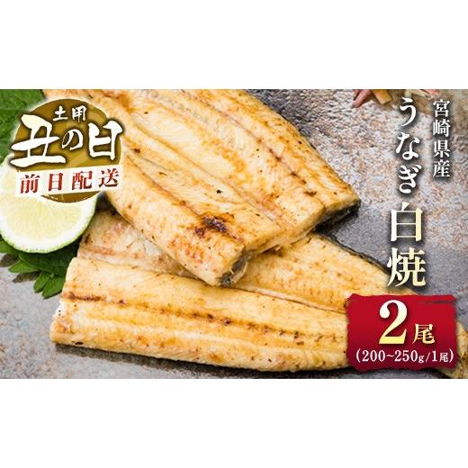 ふるさと納税 うなぎ 宮崎県 新富町 前日配送予約[土用丑の日]うなぎ白焼き 2尾 タレ付(200〜250g/1尾あたり) 前日 7月25日お届け 国産 有頭 熨斗 贈答品…