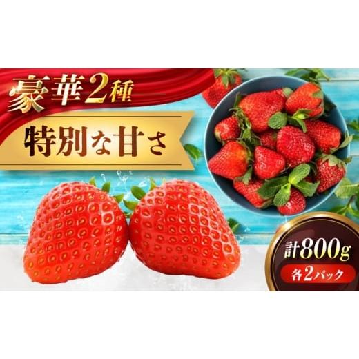 ふるさと納税 いちご 広島県 福山市 苺 「もういっこ・紅ほっぺ」200g×4パックセット 広島県福山市/株式会社ラフテル もういっこ 紅ほっぺ いちご イチゴ …