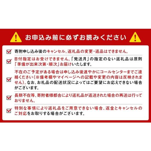 ふるさと納税 ビール 北海道 白老町  白老町のクラフトビール 「シロユリ」（計24本）《The Old Grey Brewery》の画像