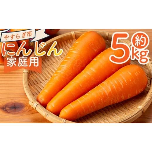 ふるさと納税 野菜類 人参 高知県 香南市 2025年11月以降発送 にんじん 5kg 家庭用 yr-0083