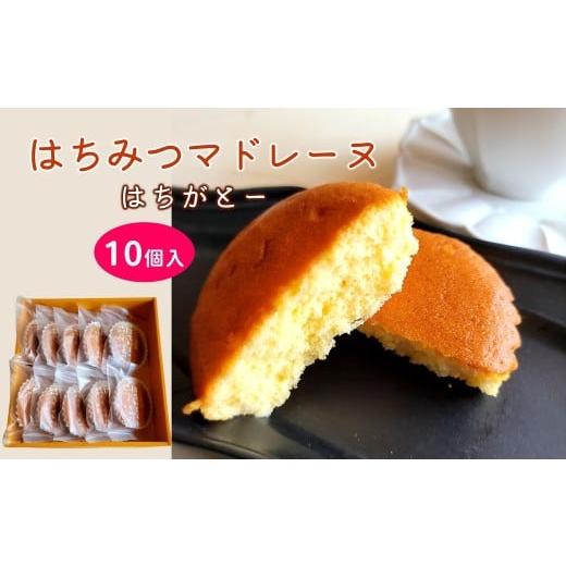ふるさと納税 焼菓子・チョコレート マドレーヌ 大分県 臼杵市 [お父さんのはちみつマドレーヌ]はちがとー 10個入 焼き菓子 スイーツ ギフト箱入