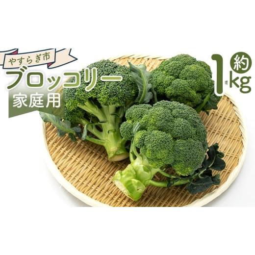 ふるさと納税 人参・大根・他根菜 高知県 香南市 2025年11月末以降発送 ブロッコリー 1kg 家庭用 yr-0086