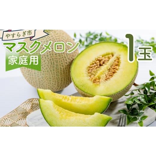 ふるさと納税 メロン メロン青肉 高知県 香南市 マスクメロン 1玉 家庭用 yr-0088