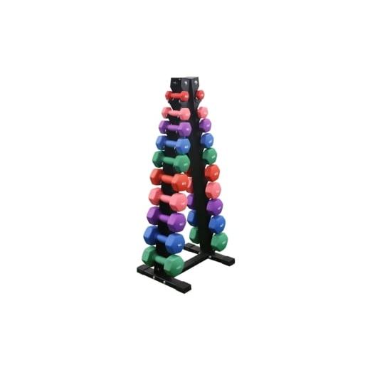 ふるさと納税 スポーツ・アウトドア 岐阜県 瑞穂市 X-TJ CDS2 カラーダンベルセット(1〜10kg)ラック付 |トレーニング フィットネス 器具 筋トレ スポーツ 運…