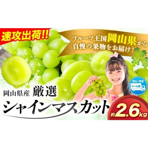ふるさと納税 ぶどう マスカット 岡山県 浅口市 すぐ届く スピード出荷 3-7営業日以内発送 シャインマスカット 厳選 訳あり シャインマスカット 約 2.6kg(3~5…