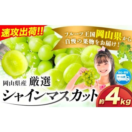 ふるさと納税 ぶどう マスカット 岡山県 浅口市 すぐ届く スピード出荷 3-7営業日以内発送 シャインマスカット 厳選 訳あり シャインマスカット 約 4kg(5~8房)…
