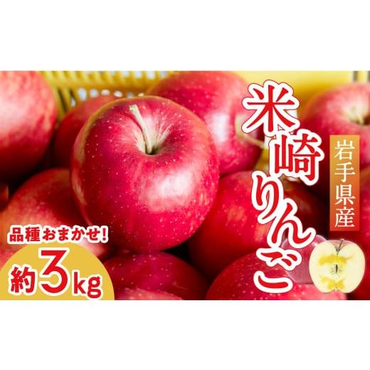 ふるさと納税 りんご 岩手県 陸前高田市 旬のりんごをお届け 米崎りんご 約3kg 品種おまかせ 大和田果樹園 数量限定 リンゴ 林檎 りんご 9月 10月 11月 12月 …
