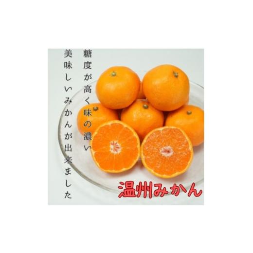 ふるさと納税 果物類 みかん 愛媛県 八幡浜市 愛媛県八幡浜産 温州みかん 5kg D96-2 1670376