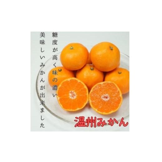 ふるさと納税 果物類 みかん 愛媛県 八幡浜市 八幡浜産 温州みかん 小玉 3kg C96-4 1670377