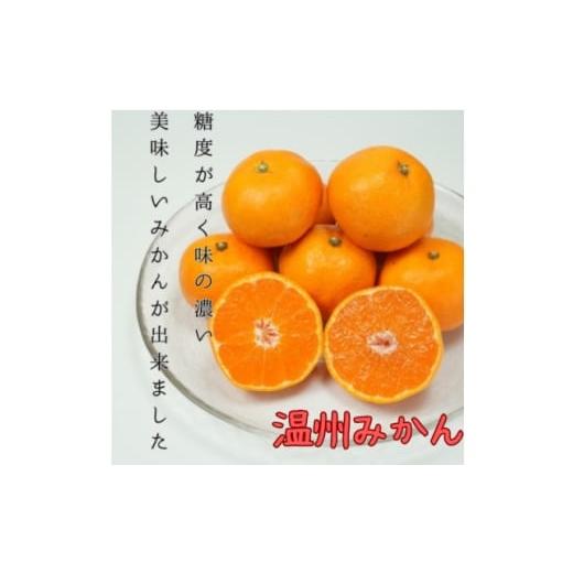 ふるさと納税 果物類 みかん 愛媛県 八幡浜市 八幡浜産 温州みかん小玉 5kg D96-5 1670780