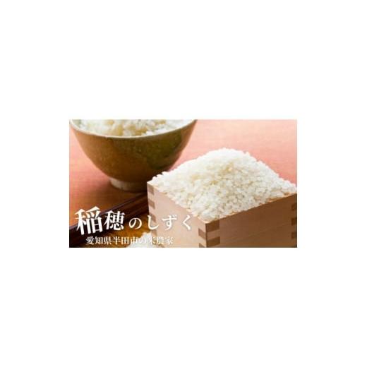 ふるさと納税 米 愛知県 半田市 令和7年産 稲穂のしずく 白米 10kg 1677344