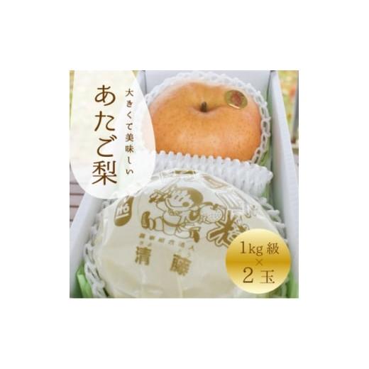 ふるさと納税 梨 岡山県 津山市 きよとうファーム あたご梨 上級品 2玉入(1kg級/玉)(岡山県産) 1559830