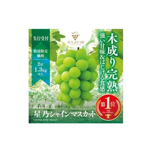 ふるさと納税 ぶどう 岡山県 津山市 星乃シャインマスカット 数量限定 (岡山県産) 2房(1.3kg以上) 1418970