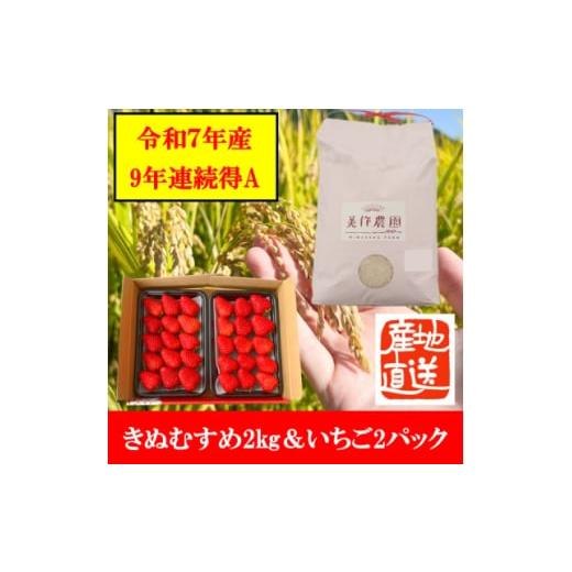 ふるさと納税 いちご 岡山県 美作市 令和7年産 新米・精米 きぬむすめ2kg&amp;いちご詰合せ(約280g×2パック) 1676468