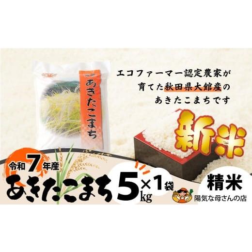 ふるさと納税 米 あきたこまち 秋田県 大館市 期間・数量限定「新米」 令和7年産 あきたこまち精米5kg(5kg×1袋) / 米 5kg 白米 精米 令和7年産 秋田…