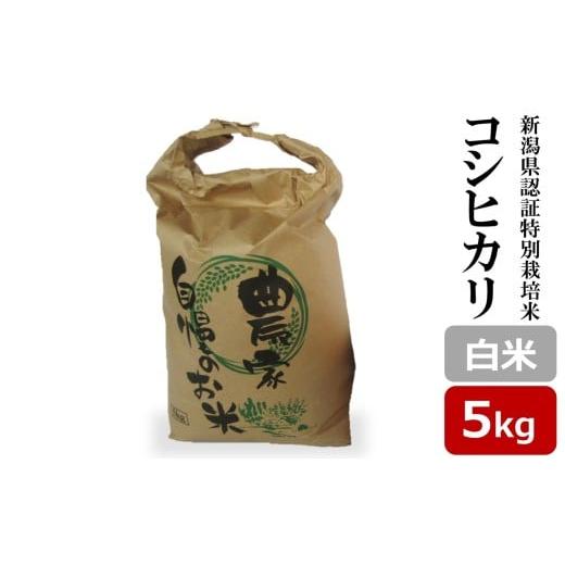 ふるさと納税 米 コシヒカリ 新潟県 柏崎市 令和7年産新米 コシヒカリ 白米 5kg 新潟県認証特別栽培米 岩之入西の棚田米 池田農園