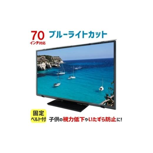 ふるさと納税 雑貨・日用品 大阪府 和泉市 和泉市 70MBL5 70インチ用 テレビ画面保護パネル ブルーライトカットタイプ スペーサー付属 1669381