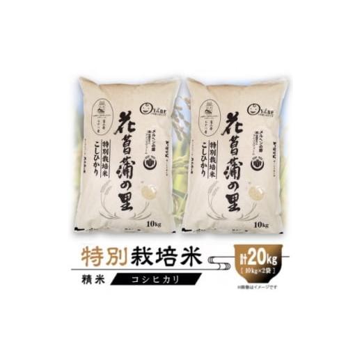ふるさと納税 米 富山県 小矢部市 特別栽培米20kg (精米/コシヒカリ10kg×2) 1670507