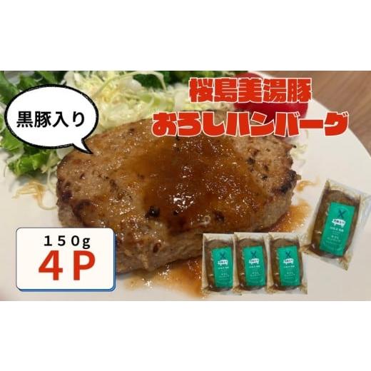 ふるさと納税 豚肉 ハンバーグ 鹿児島県 垂水市 W-0402/鹿児島県産 桜島美湯豚 おろしソース ハンバーグ 150g×4個