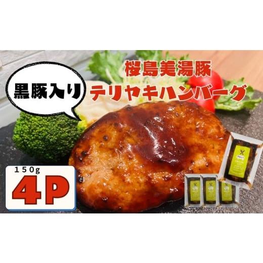 ふるさと納税 豚肉 ハンバーグ 鹿児島県 垂水市 W-0409/鹿児島県産 桜島美湯豚 てりやきソース ハンバーグ 150g×4個
