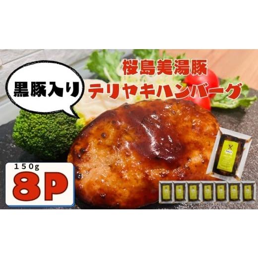 ふるさと納税 豚肉 ハンバーグ 鹿児島県 垂水市 A1-0441/鹿児島県産 桜島美湯豚 てりやきソース ハンバーグ 150g×8個