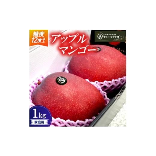 ふるさと納税 マンゴー 沖縄県 中城村 2026年6月下旬から順次発送 マルトウマンゴーの家庭用アップルマンゴー1kg 1670253