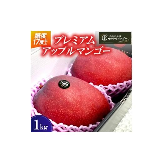 ふるさと納税 マンゴー 沖縄県 中城村 2026年6月下旬から順次発送 マルトウマンゴーのプレミアム アップルマンゴー1kg 1670278
