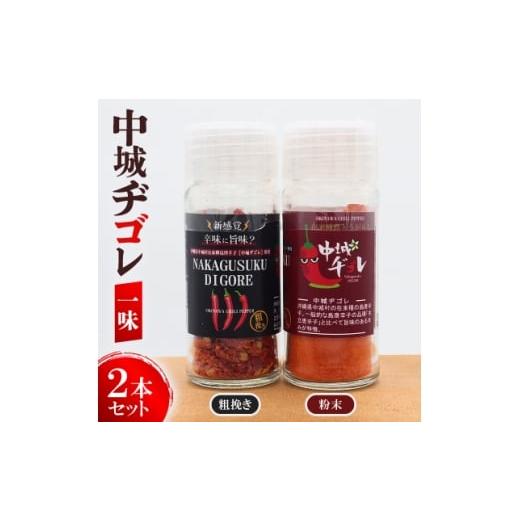 ふるさと納税 調味料・油 沖縄県 中城村 中城ヂゴレ一味2本セット(粗挽き・粉末) 1670639