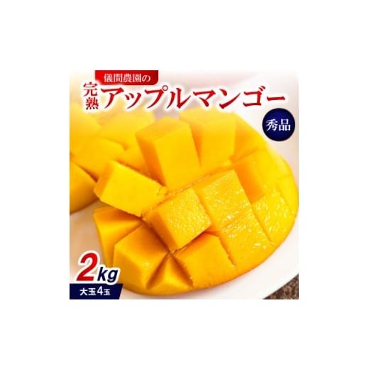 ふるさと納税 マンゴー 沖縄県 中城村 2026年6月下旬から順次発送・贈答用 儀間農園の完熟アップルマンゴー 秀品2kg(大玉4玉) 1672923