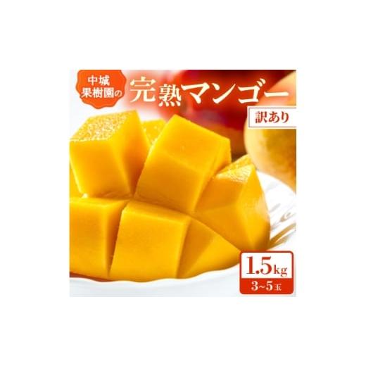 ふるさと納税 マンゴー 沖縄県 中城村 2026年7月から順次発送・白箱 中城果樹園の完熟アップルマンゴー 訳あり1.5kg(3〜5玉) 1673136