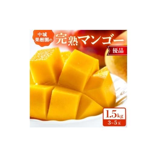 ふるさと納税 マンゴー 沖縄県 中城村 2026年7月から順次発送・化粧箱 中城果樹園の完熟マンゴー 優品1.5kg(3〜5玉) 1673170