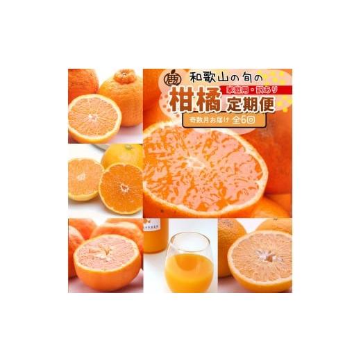 ふるさと納税 みかん・柑橘類 和歌山県 和歌山市 家庭用 柑橘定期便S(奇数月)全6回 