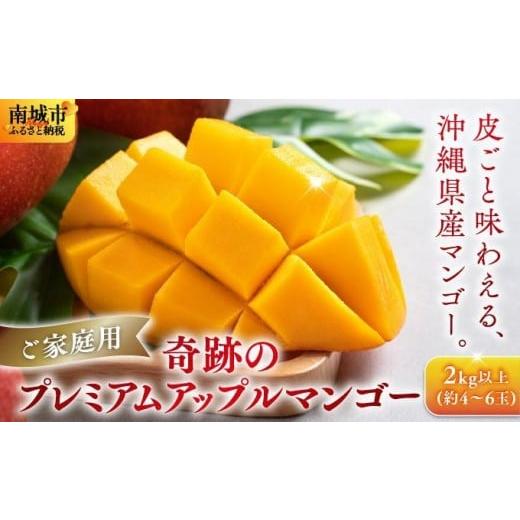 ふるさと納税 マンゴー 沖縄県 南城市 皮ごと味わえる奇跡のプレミアムアップルマンゴー2kg以上(約4〜6玉) 沖縄南城産・家庭用