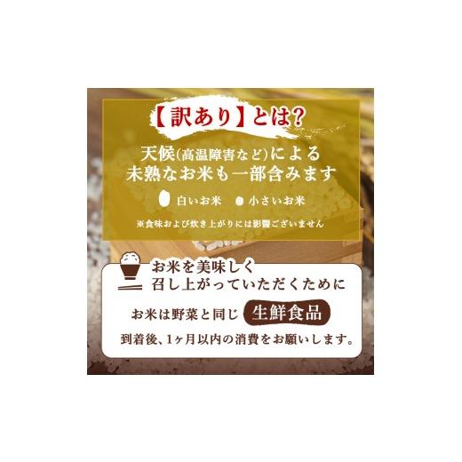 ふるさと納税 無洗米 佐賀県 鳥栖市 定期便 6ヶ月 訳あり 米 鳥栖市ふるさと納税限定がばいU米(うまい) 無洗米 5kg 五つ星お米マイスター厳選 (お徳用ブレンド…の画像