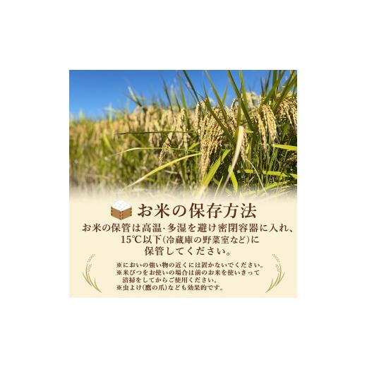 ふるさと納税 無洗米 佐賀県 鳥栖市 定期便 6ヶ月 訳あり 米 鳥栖市ふるさと納税限定がばいU米(うまい) 無洗米 5kg 五つ星お米マイスター厳選 (お徳用ブレンド…の画像
