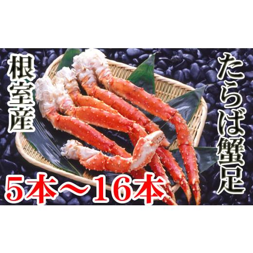 ふるさと納税 カニ タラバガニ 北海道 根室市 C-36080 年内配送可 北海道根室産 ボイルたらば蟹足5〜16本(計1〜1.2kg)