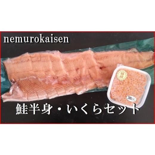 ふるさと納税 魚貝類 鮭 北海道 根室市 C-57058 年内配送可 鮭半身(切身)とイクラの醤油漬けセット