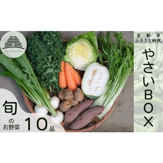 ふるさと納税 セット・詰合せ 京都府 京都市  よしだのはたけ 旬の野菜10品 やさいBOX｜京都 京北 農家直送 野菜 人気セット 旬のお野菜 新鮮 おまかせセット …の画像
