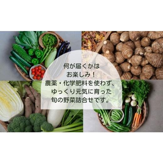 ふるさと納税 セット・詰合せ 京都府 京都市  よしだのはたけ 旬の野菜10品 やさいBOX｜京都 京北 農家直送 野菜 人気セット 旬のお野菜 新鮮 おまかせセット …の画像