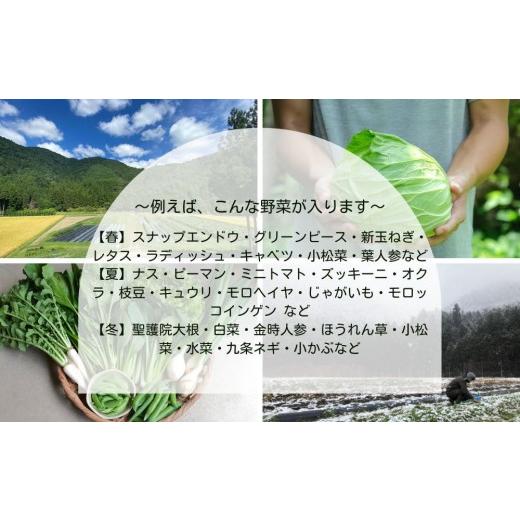 ふるさと納税 セット・詰合せ 京都府 京都市  よしだのはたけ 旬の野菜10品 やさいBOX｜京都 京北 農家直送 野菜 人気セット 旬のお野菜 新鮮 おまかせセット …の画像