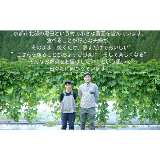 ふるさと納税 セット・詰合せ 京都府 京都市  よしだのはたけ 旬の野菜10品 やさいBOX｜京都 京北 農家直送 野菜 人気セット 旬のお野菜 新鮮 おまかせセット …の画像
