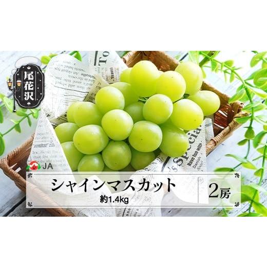 ふるさと納税 ぶどう マスカット 山形県 尾花沢市 先行予約 シャインマスカット 2房 約1.4kg 令和8年産 2026年産 山形県産 果物 フルーツ ぶどう ブドウ ja-bu…