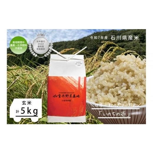 ふるさと納税 米 石川県 金沢市 お米番付優秀賞受賞農家 日本一粒の大きいお米『いのちの壱』玄米5kg