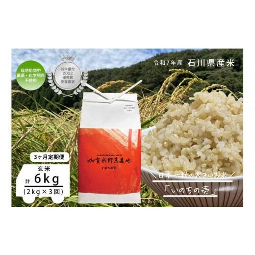 ふるさと納税 米 石川県 金沢市 3ヶ月定期便 お米番付優秀賞受賞農家 日本一粒の大きいお米『いのちの壱』玄米2kg×3回
