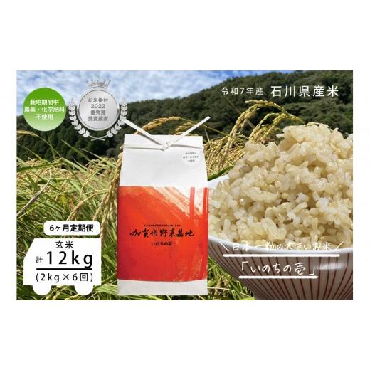 ふるさと納税 米 石川県 金沢市  6ヶ月定期便 お米番付優秀賞受賞農家 日本一粒の大きいお米『いのちの壱』玄米2kg×6回_1